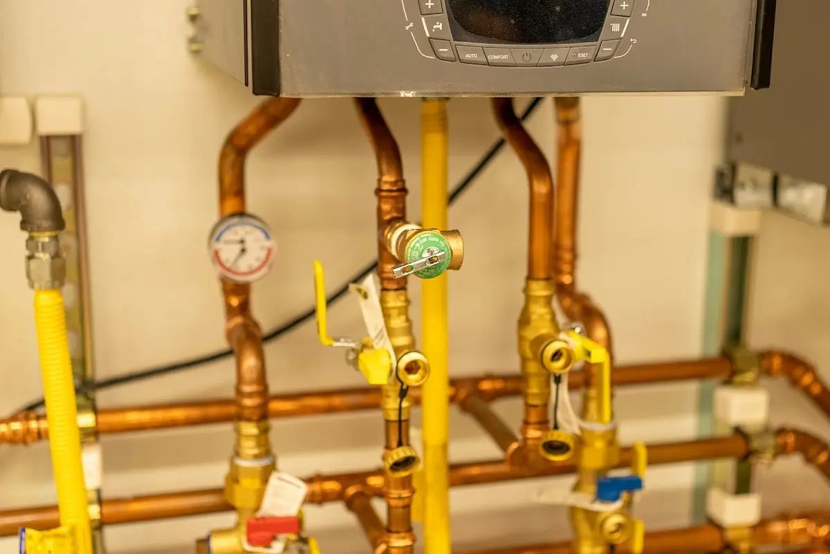 Licensed technician providing Sump Pump Repair for a homeowner in Arcadia